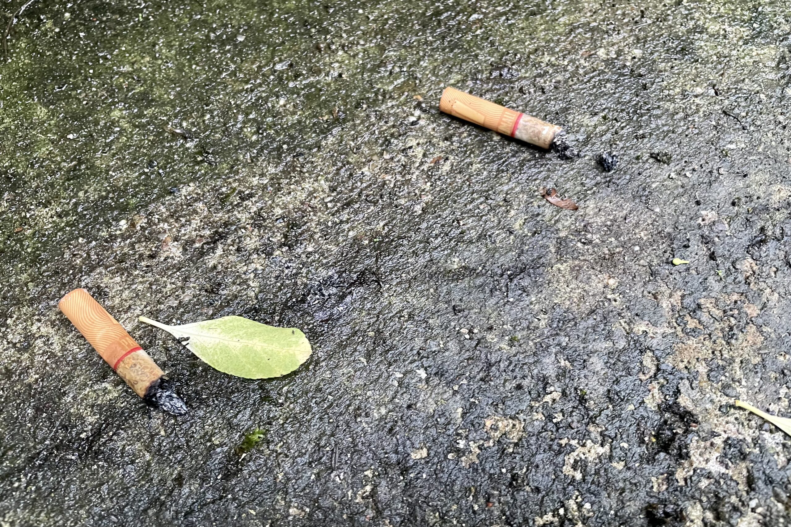 Du warst hier mit mir…