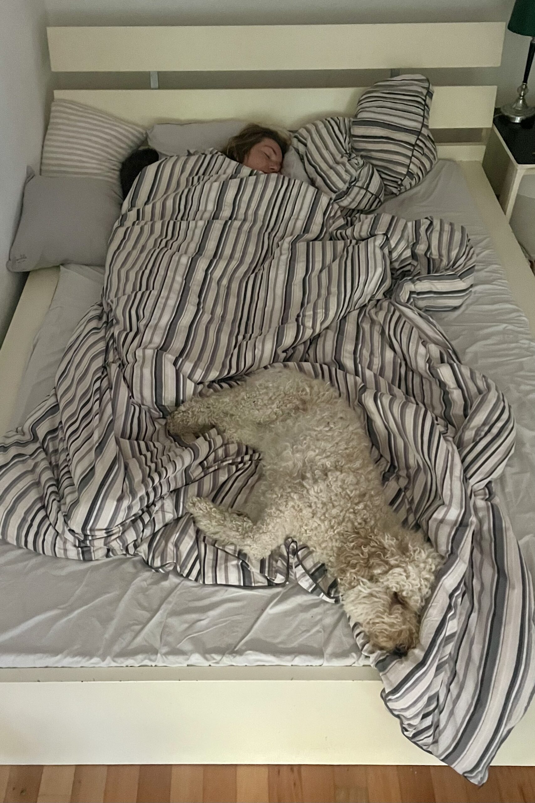Ein Bett voller Glück