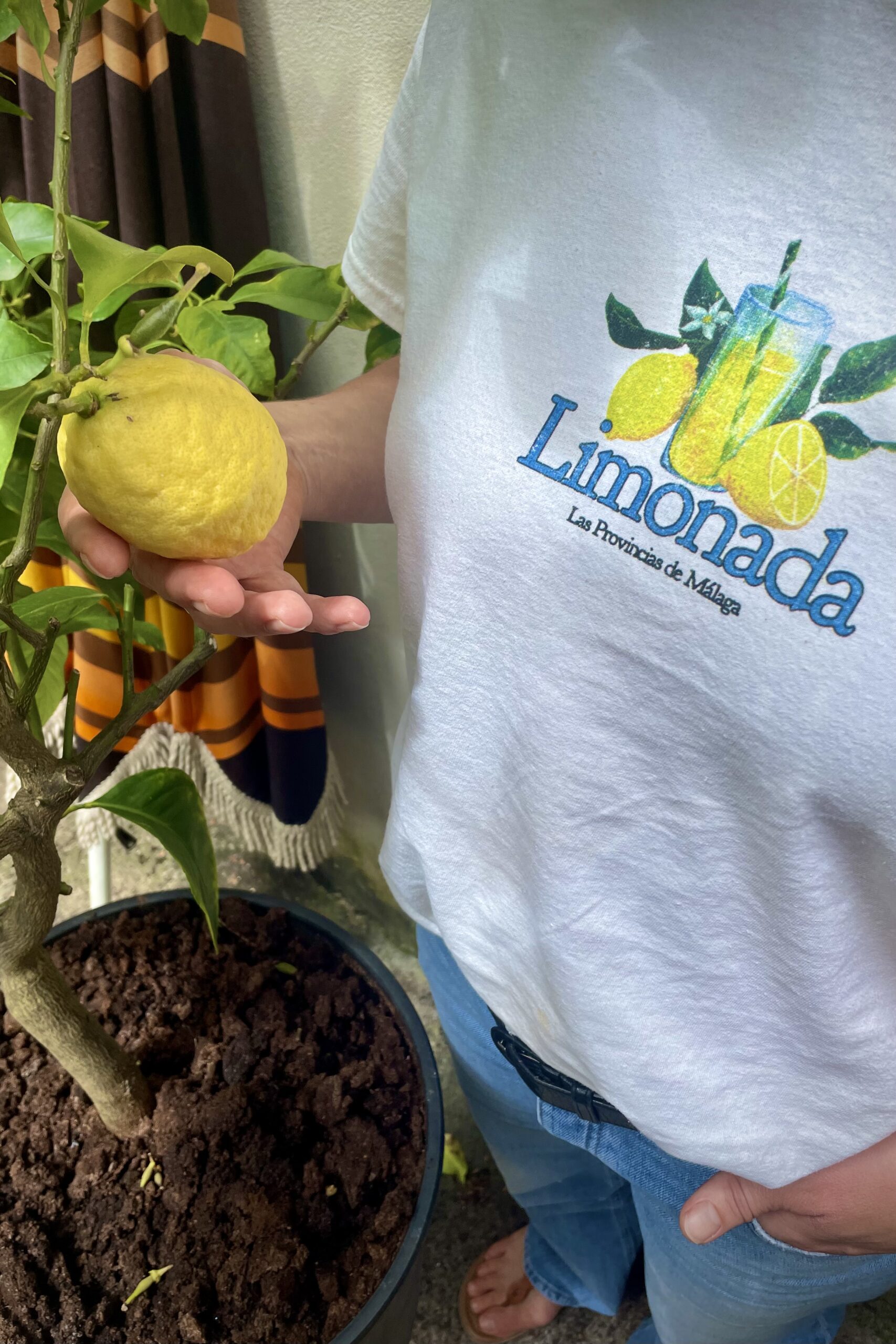 Limonada