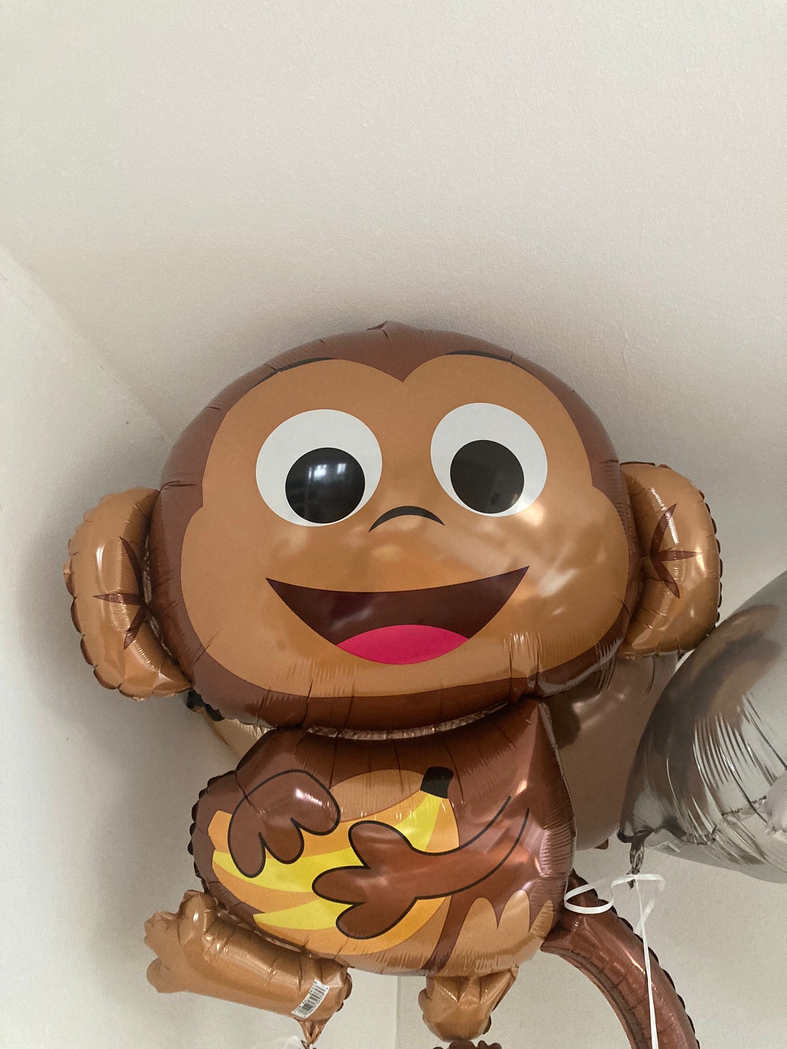 Let teh monkey out