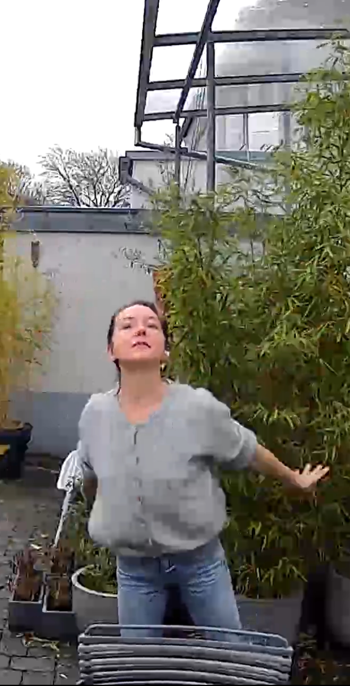 Grazie in Reinstform